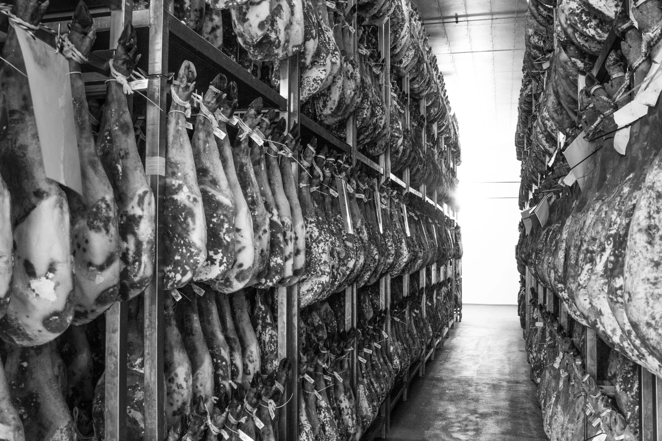 Como se empieza una paletilla de jamon 1 scaled