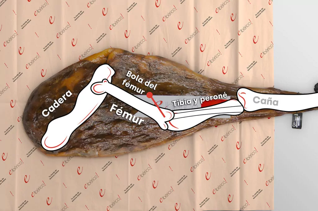 como-deshuesar-el-jamon-huesos-1024x680