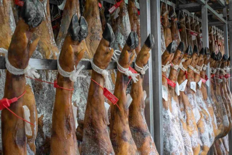 moho en el jamon